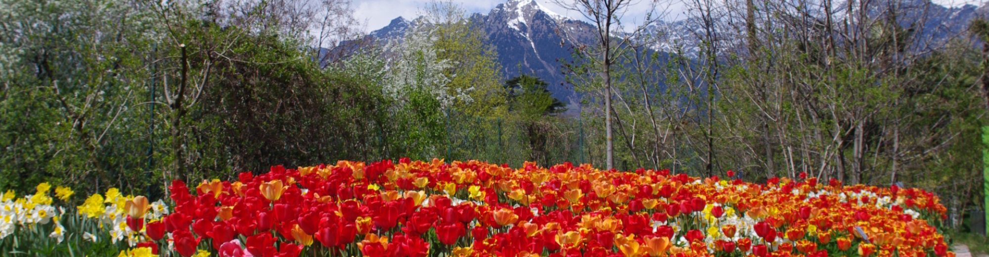 Spisshof Suedtirol