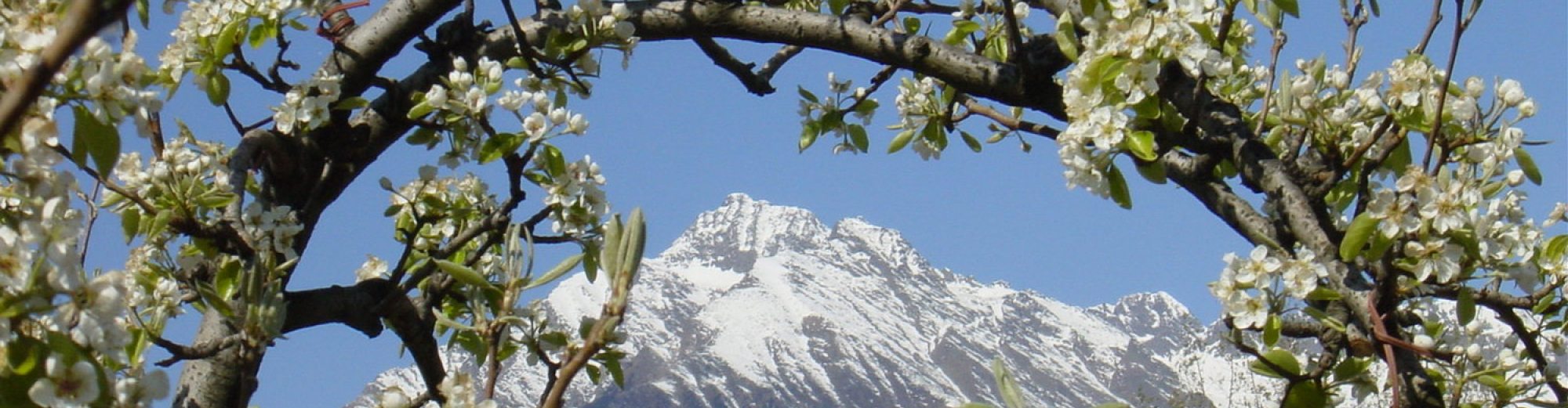 Spisshof Suedtirol